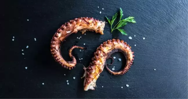 Ahtapot ızgara nasıl yapılır? Ahtapot salata tarifi