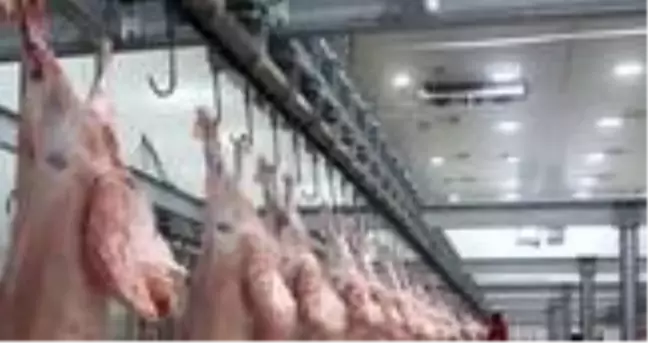 Bursa Yenişehir'de şarbon hastalığı tespit edilen mezbaha ve hayvan pazarı kapatıldı