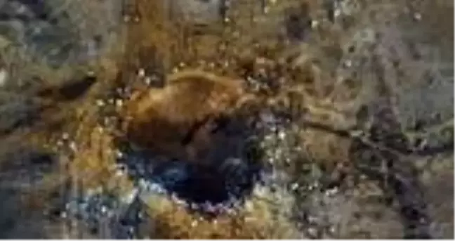 Nijerya'ya meteor mu düştü? Meteor nedir? Nijerya hakkına bilgi