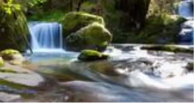 Munzur Gözeleri projesi nedir? Munzur Nehri nerede? Munzur Irmağı nereye dökülüyor?