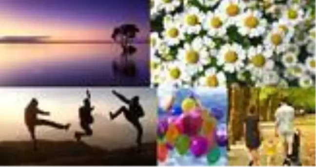 Arkadaşlık sözleri nelerdir? En güzel aile sözleri, doğum günü sözleri, papatya sözleri, manzara sözleri hangileridir?