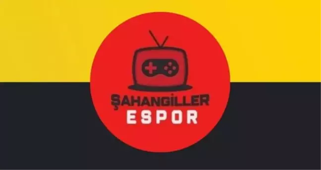 Şahangiller espor sektöründe yerini almak istiyor