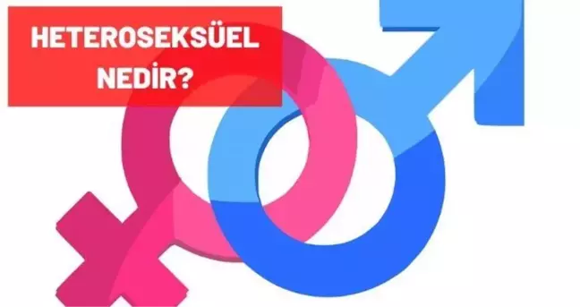 Heteroseksüel nedir?