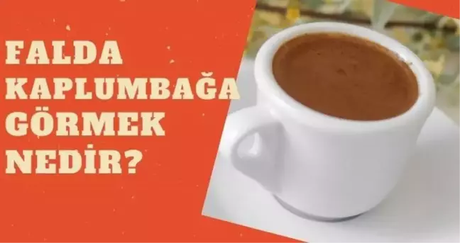Falda kaplumbağa görmek nedir? Falda kaplumbağa çıkması ne anlama gelir?