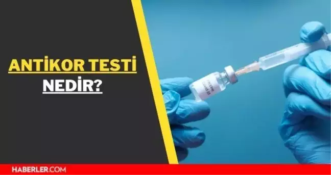 Antikor testi nedir? COVID antikor testi nasıl yapılır? Biontech antikor testi nerede yapılır