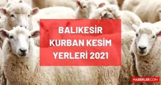 Balıkesir kurban pazar, kesim ve satış yerleri! 2021 Balıkesir kurbanlık pazar yerleri, satış yerleri ve kesim yerleri nerede? İletişim bilgileri!