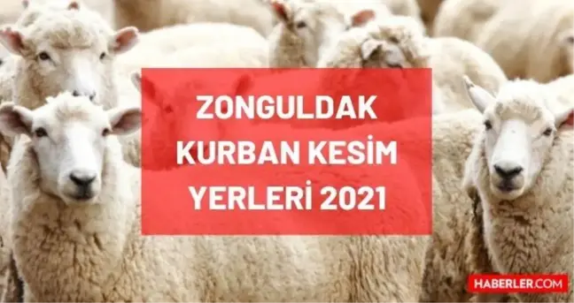 Zonguldak kurban pazar, kesim ve satış yerleri! 2021 Zonguldak kurbanlık pazar yerleri, satış yerleri ve kesim yerleri nerede? İletişim bilgileri!