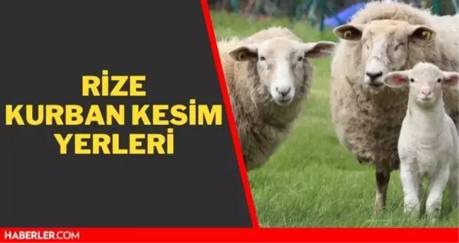 Rize kurban kesim yerleri! Rize kurban pazar ve satış yerleri! 2021 Rize kurbanlık pazar yerleri, satış yerleri ve kurban kesim yerleri nerede?