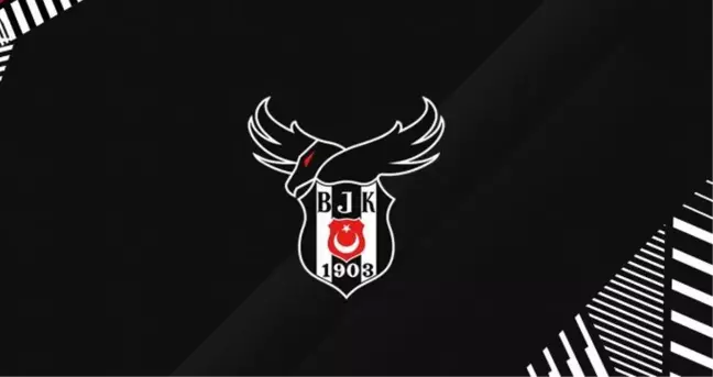 Beşiktaş Esports koçu Raavas: