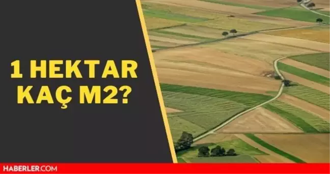 1 hektar kaç m2? 1 dönüm arazi kaç metrekare?