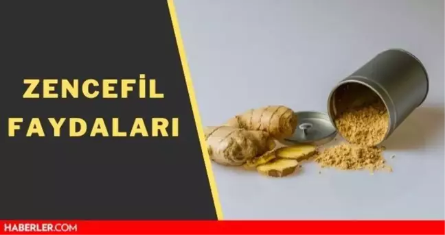 Zencefilin faydaları nedir? Zencefil çayı nasıl yapılır? Zencefil neye iyi gelir?