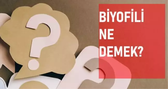 Biyofili ne demek? Biyofili anlamı ne?