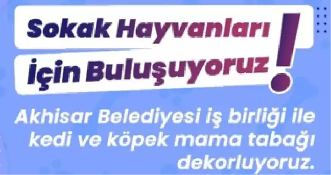 Akhisar Belediyesi'nden sokak hayvanları için örnek proje