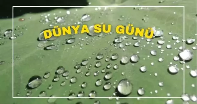 Dünya Su Günü ne zaman? Dünya Su Günü ne zaman kutlanmaya başladı?