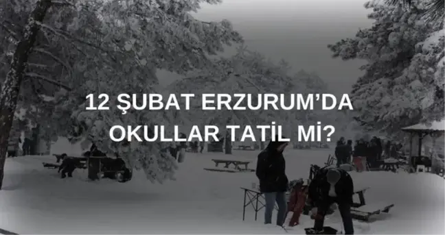 Erzurum'da okullar tatil mi? SON DAKİKA 12 Şubat Çarşamba Erzurum'da okul yok mu?