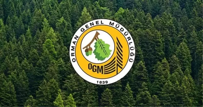 Orman Genel Müdürlüğü personel alımı başvuru ekranı! Tarım ve Orman Bakanlığı personel alımı 2025 başvuru tarihi ve şartları!