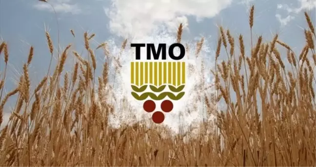 Toprak Mahsulleri Ofisi'nde (TMO) buğday ve arpa alımı ne zaman? Serbest piyasada son durum ne?