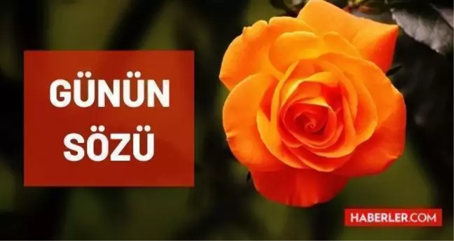 Günün özlü sözü - 18 Temmuz Pazar günün sözü nedir? Bugünün anlamlı sözleri nelerdir? Bugün için günün sözü!