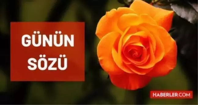 Günün sözü ve şiiri: 3 Aralık Cuma günün sözleri nedir? Günün anlamlı sözleri nelerdir? Bugün için günün sözü!