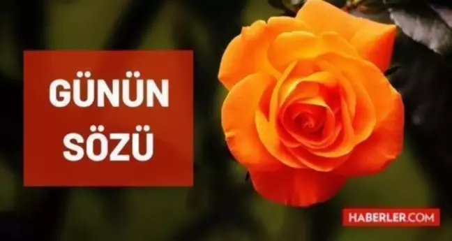 Günün sözü: 10 Aralık Cuma günün sözleri nedir? Günün anlamlı sözleri nelerdir? Bugün için günün sözü!