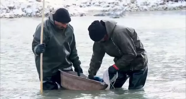 Diyadin'de Zorlu Kış Şartlarında Balık Avı