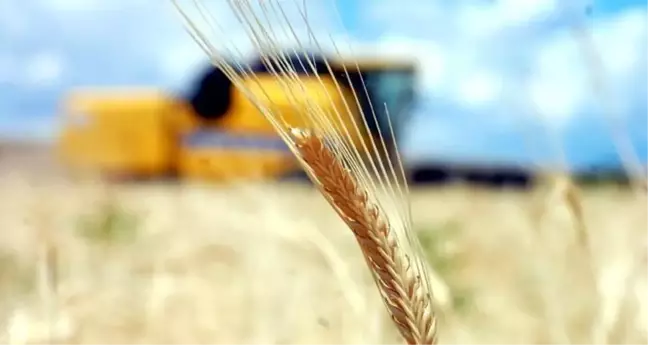 Tarımsal Girdi Fiyat Endeksi Yıllık Yüzde 28,92 Arttı