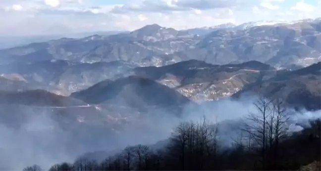 Trabzon'daki örtü yangınları devam ediyor
