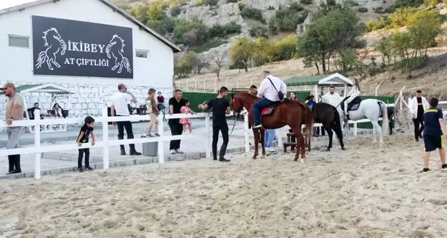 Kütahya'nın Tavşanlı İlçesinde Yeni Bir At Çiftliği Açıldı