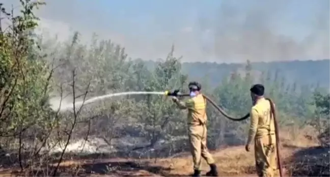 Edirne'de çıkan yangın üç köyü etkisi altına aldı