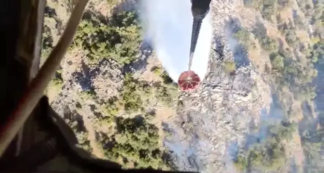 İzmir'in Bergama ilçesinde çıkan yangın kontrol altına alındı