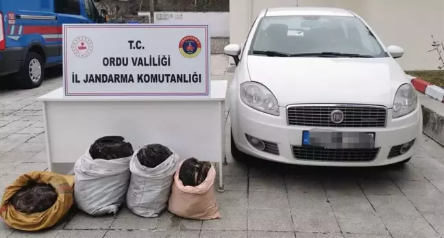 Ordu'da haberleşme ve elektrik kablolarını çaldıkları iddiasıyla 2 kişi yakalandı