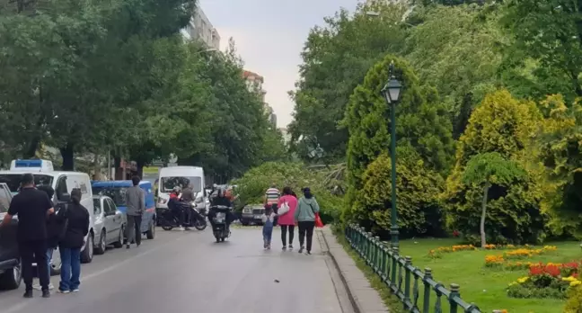 Eskişehir'de Rüzgarın Etkisiyle Ağaç Dalı Otomobilin Üzerine Düştü