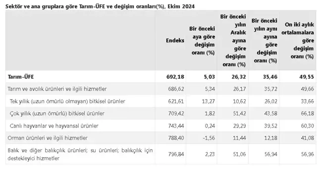 Tarım Ürünleri Üretici Fiyatları Ekim'de Arttı