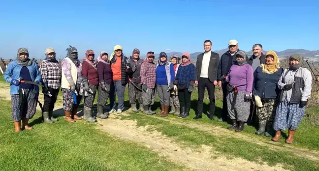 Kadınlar Bağ Budama İşinde Başarı Gösterdi