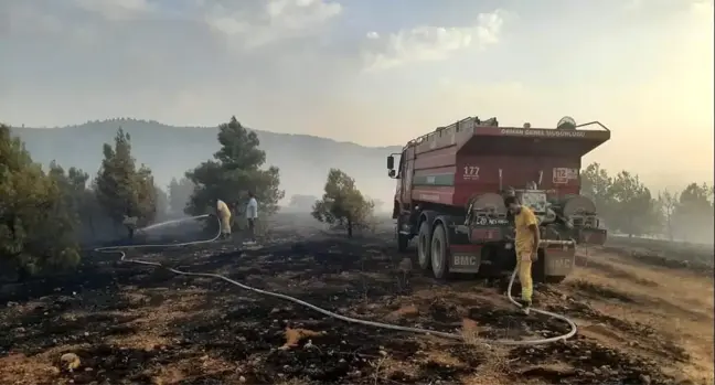 Denizli Çivril'de Orman Yangını