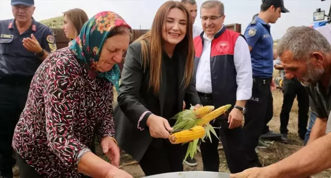 Kaymakam Fatma Ballı, yerli tohum hasat etkinliğine katıldı