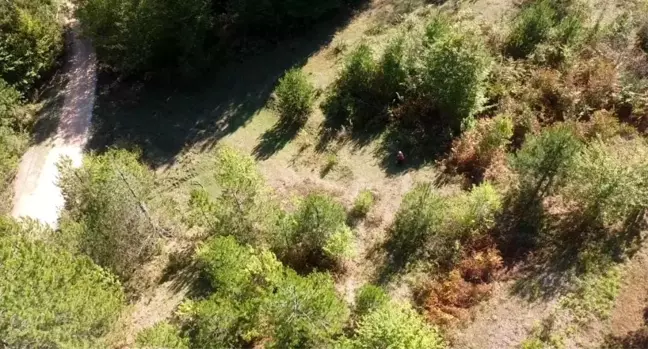 Karabük'te Mantar Toplama Yasaklarına Uymayanlar Dron ile Tespit Edildi