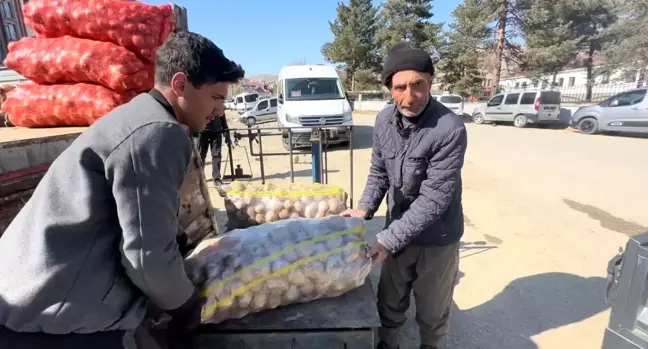 Yüksekova'da Kış Hazırlıkları Başladı: Patates ve Soğan Stokları Artıyor