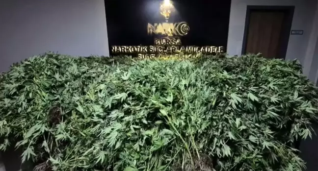 Bursa'da Uyuşturucu Operasyonu: 41 Şüpheli Yakalandı