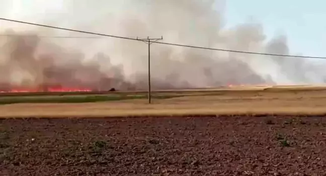Ankara'nın Haymana ilçesinde çıkan yangında 500 dönümlük arazi küle döndü