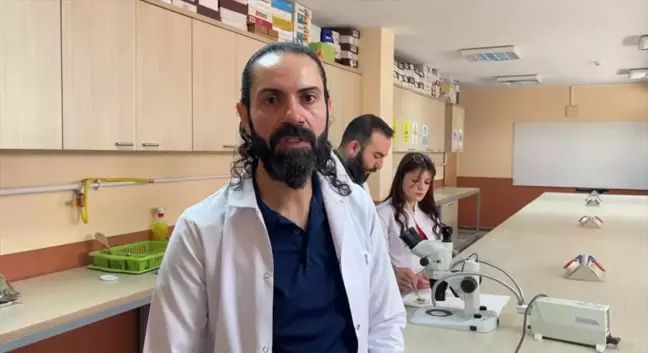 Sarıkızın İnsanı Isırdığı Bölgede Ette Çürüme ve Uzuv Kaybına Neden Olabilir