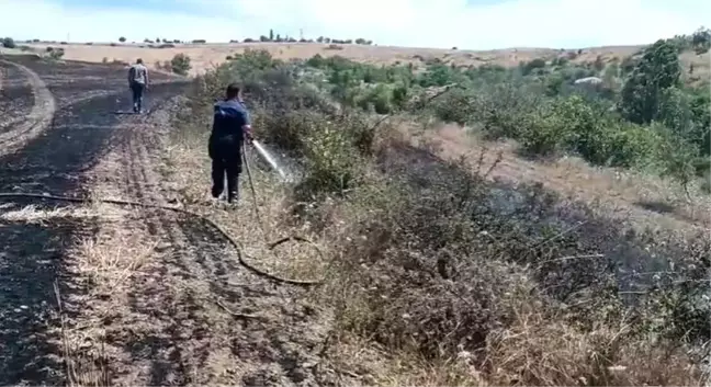 Ankara'nın Elmadağ ilçesinde ekili tarım arazisinde yangın çıktı