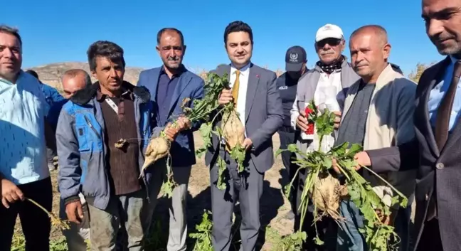 Kaymakam Seyhan, Şeker Pancarı Hasadına Katıldı