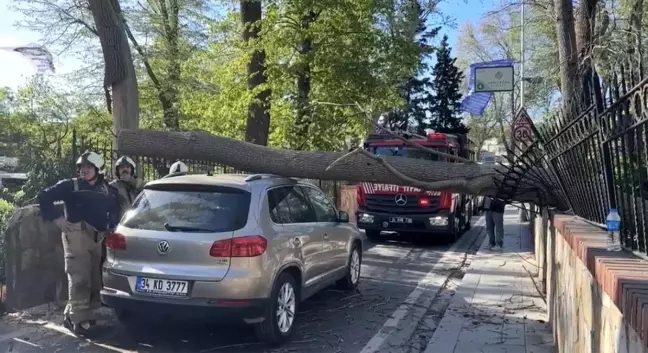 Sarıyer'de Şiddetli Rüzgar Ağaç Devrdi, Araç Hasar Gördü