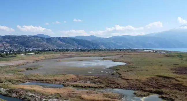 Milleyha Sulak Alanı'nda 12 Yeni Kuş Türü Gözlemlendi