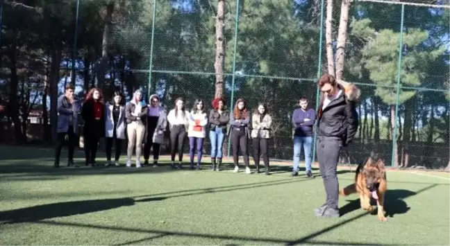 Edirne'de üniversite öğrencilerine 'köpek eğitim' kursu