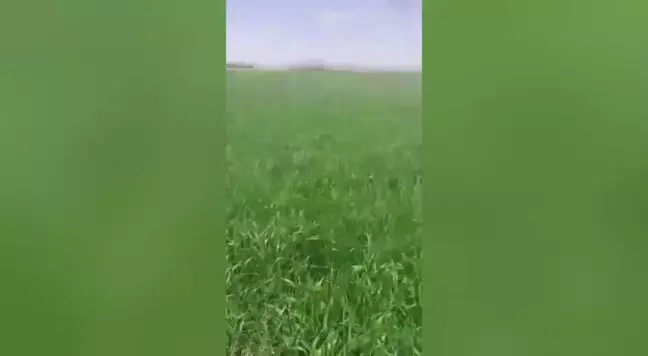 Kütahya'da Tarlalarını Fazla Suladığı Gerekçesiyle Ceza Kesilen Çiftçiler Tepki Gösterdi