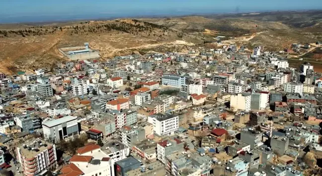 Mardin'de araç çarpması sonucu yaşlı kadın hayatını kaybetti