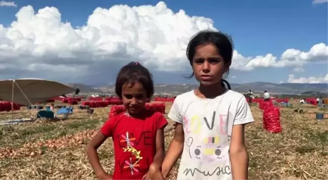 Amasya'da tarlada çıkan hortumda kalan çocuklar korku dolu anlar yaşadı