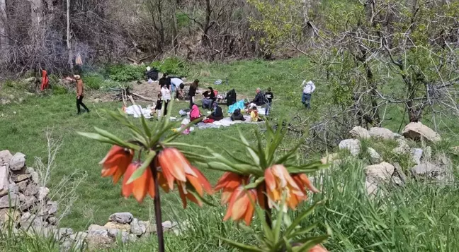 Kavaklı Köyü Sakinleri 34 Yıl Sonra Doğdukları Topraklara Döndü